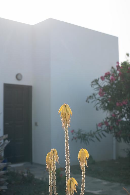 Drago Homes Corralejo Exterior foto